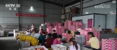 进出口总值冲破3万亿元！黄河道域打制内陆对外